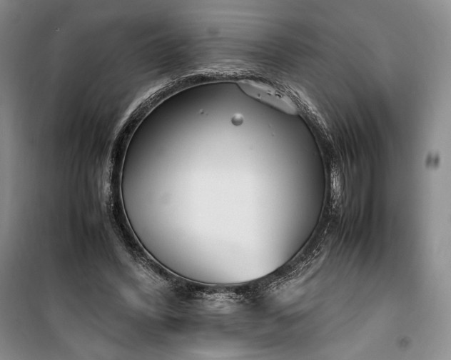 X0000100190396200806131212