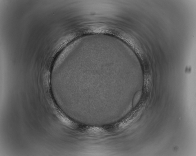 X0000100190397200806131212