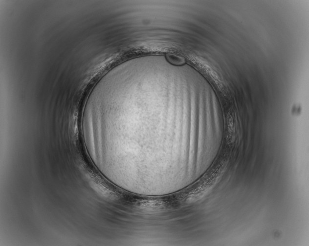 X0000100190398200806131212