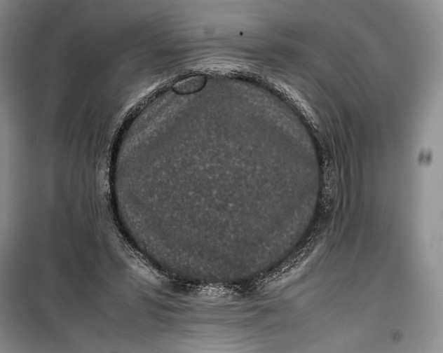 X0000100190399200806131212