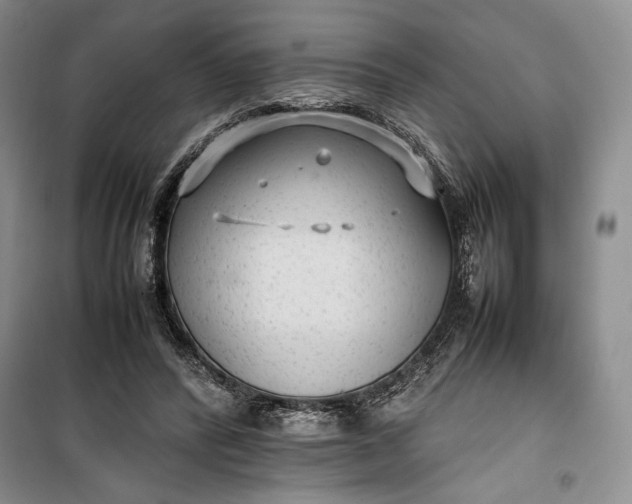 X0000100190400200806131212