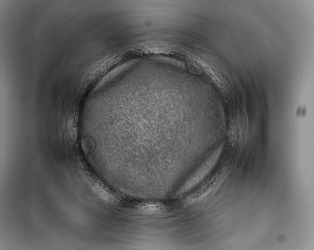 X0000100190402200806131212