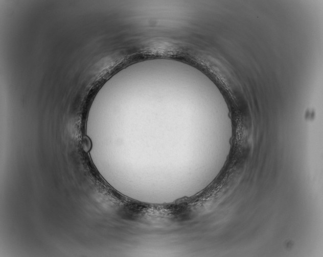 X0000100190403200806131212