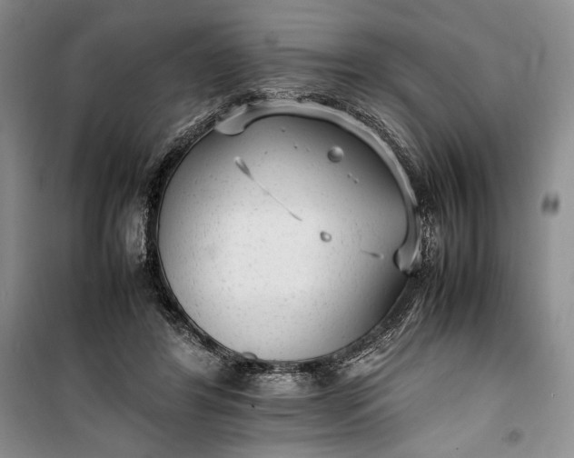 X0000100190404200806131212