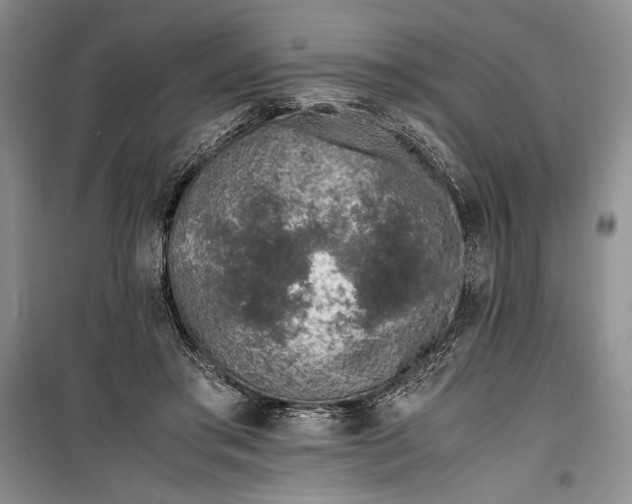 X0000100190405200806131212