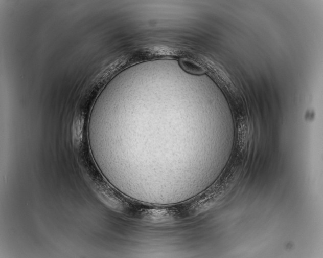 X0000100190406200806131212