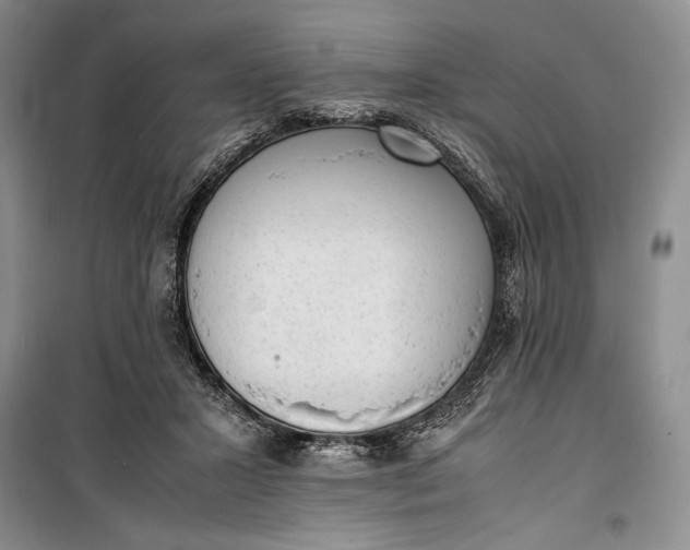 X0000100190407200806131212