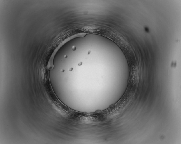 X0000100190408200806131212