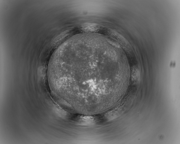 X0000100190409200806131212