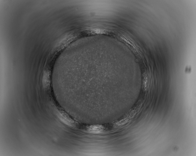 X0000100190410200806131212