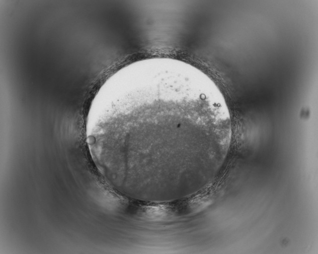 X0000100190411200806131212