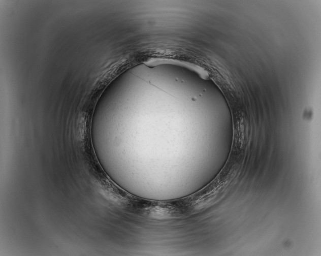 X0000100190412200806131212