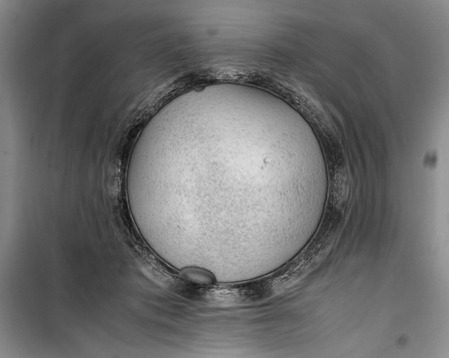 X0000100190413200806131212