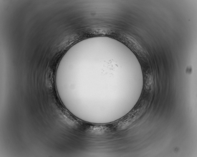 X0000100190414200806131212