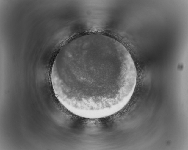 X0000100190415200806131212