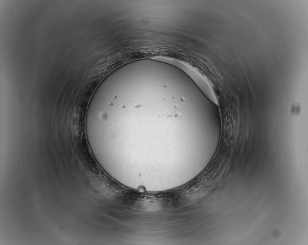 X0000100190416200806131212