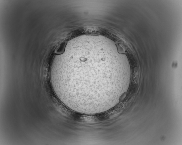 X0000100190417200806131212