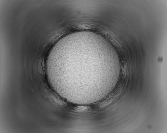 X0000100190418200806131212