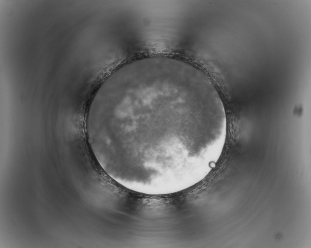 X0000100190419200806131212