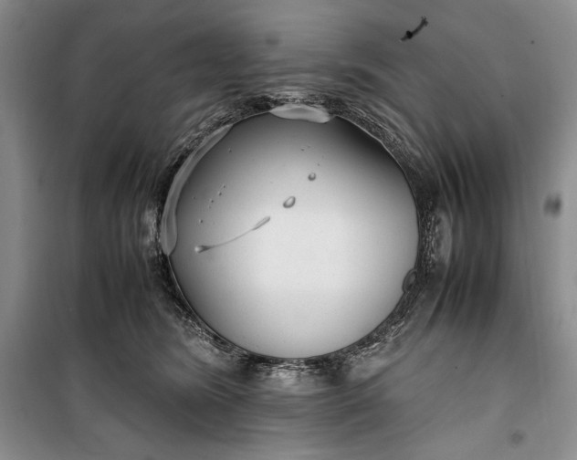 X0000100190420200806131212