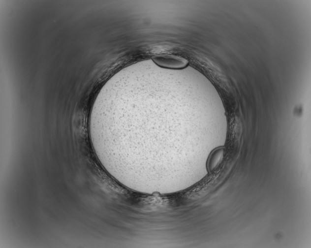 X0000100190421200806131212