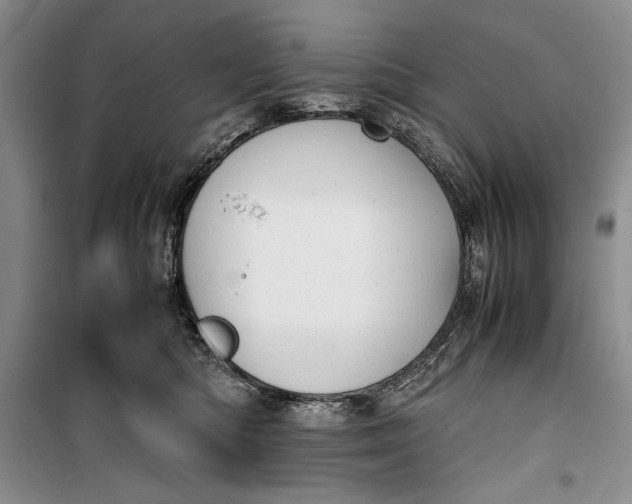 X0000100190422200806131212