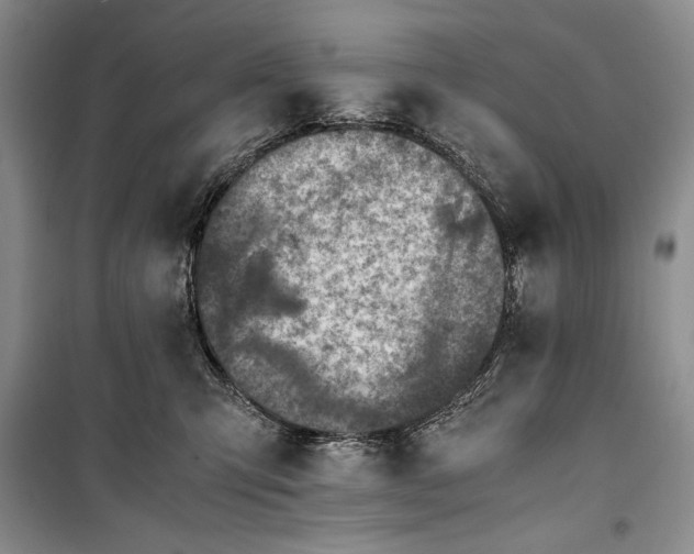 X0000100190423200806131212