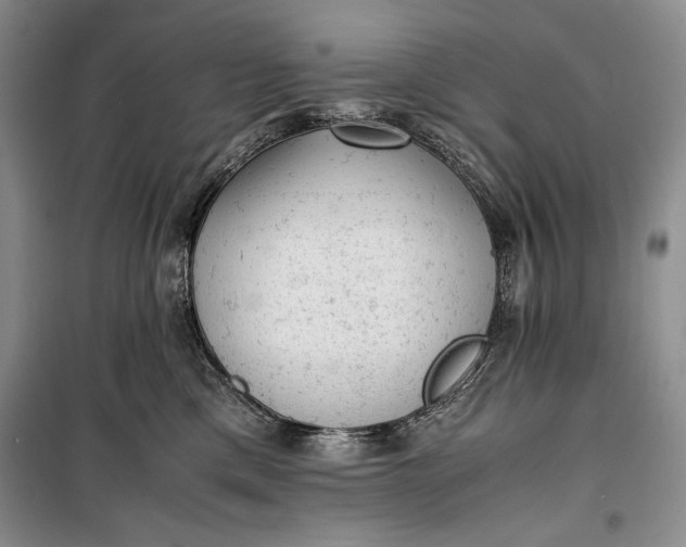 X0000100190425200806131212