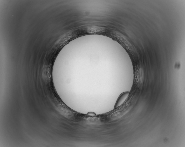 X0000100190426200806131212