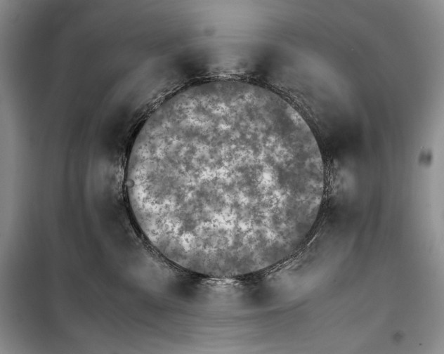 X0000100190427200806131212