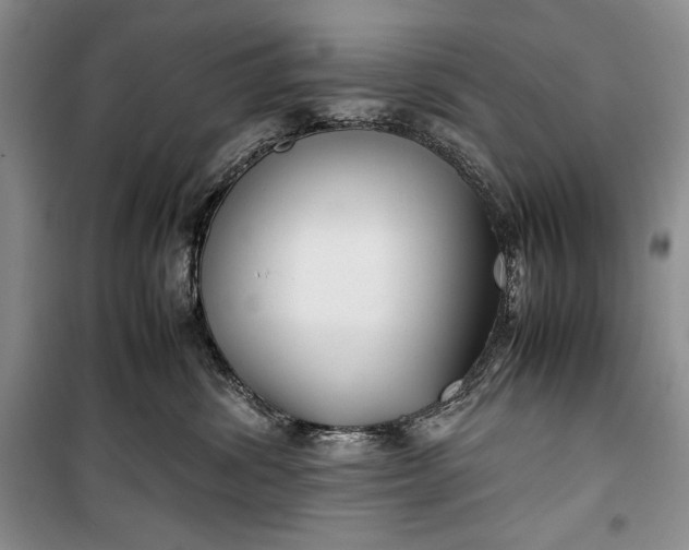 X0000100190428200806131212