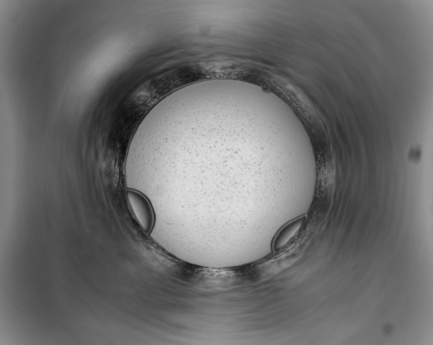 X0000100190429200806131212