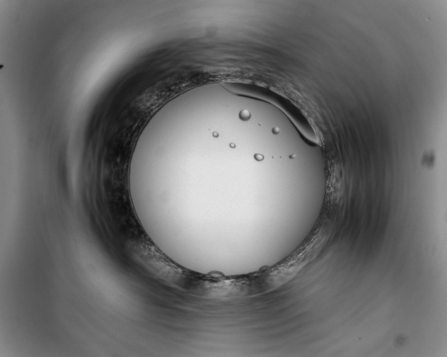 X0000100190430200806131212