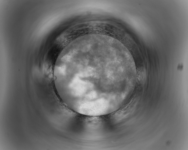 X0000100190431200806131212