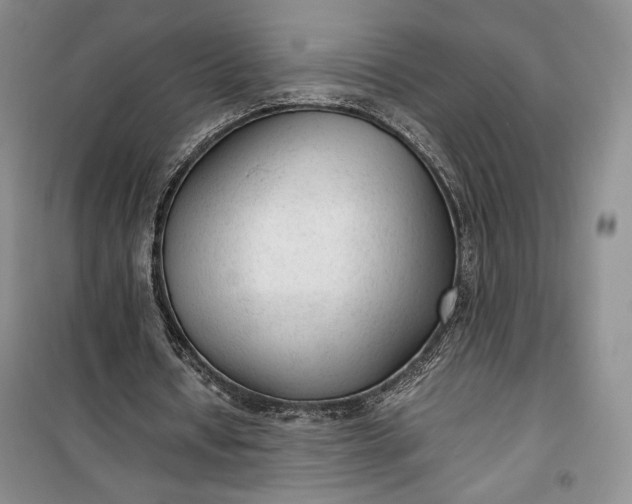 X0000100190434200806131211