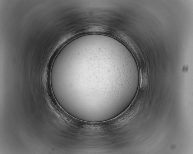 X0000100190435200806131211