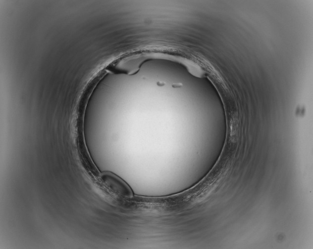 X0000100190436200806131211