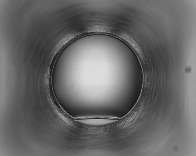 X0000100190437200806131211