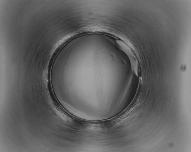 X0000100190438200806131211