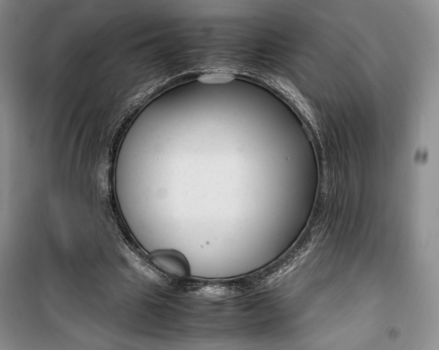 X0000100190441200806131211