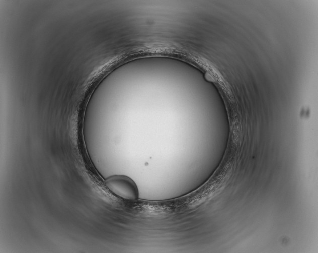 X0000100190442200806131211