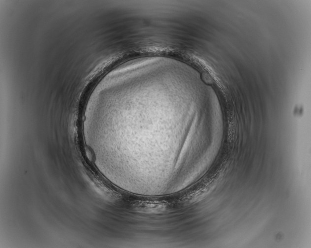 X0000100190443200806131211