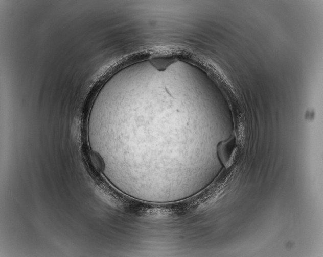 X0000100190444200806131211