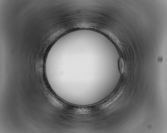 X0000100190445200806131211