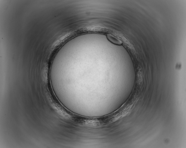 X0000100190446200806131211