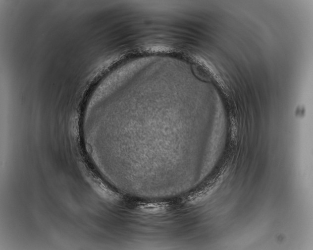 X0000100190447200806131211