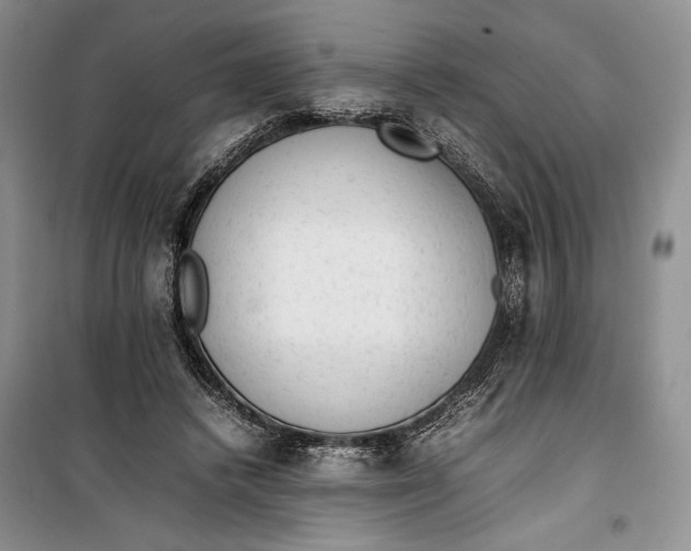 X0000100190448200806131211