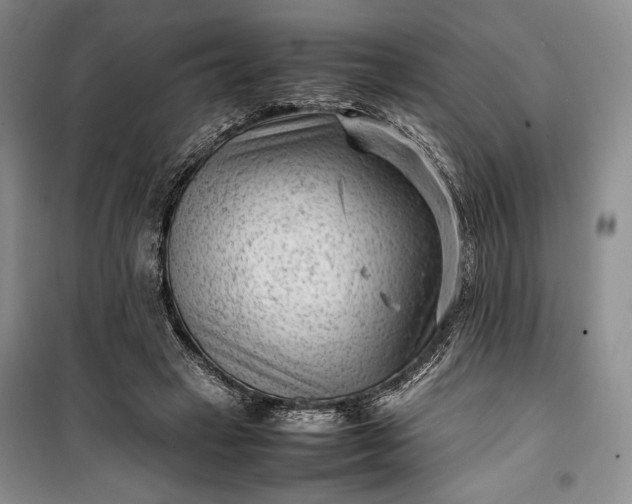 X0000100190449200806131211