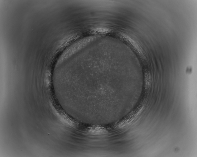 X0000100190451200806131211