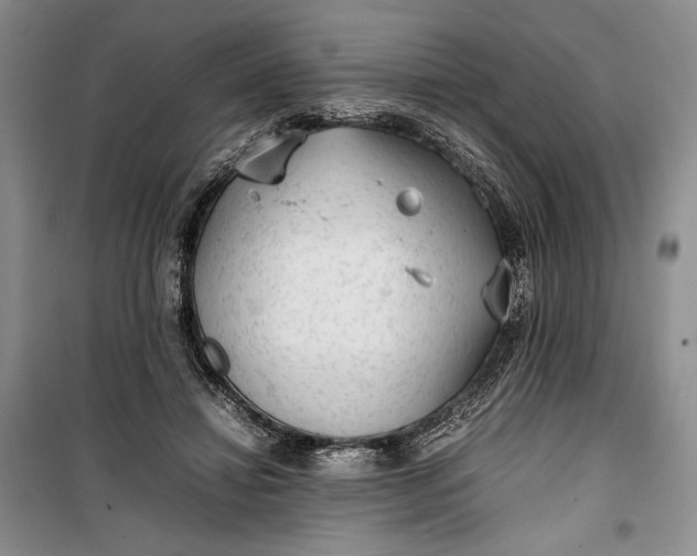 X0000100190452200806131211